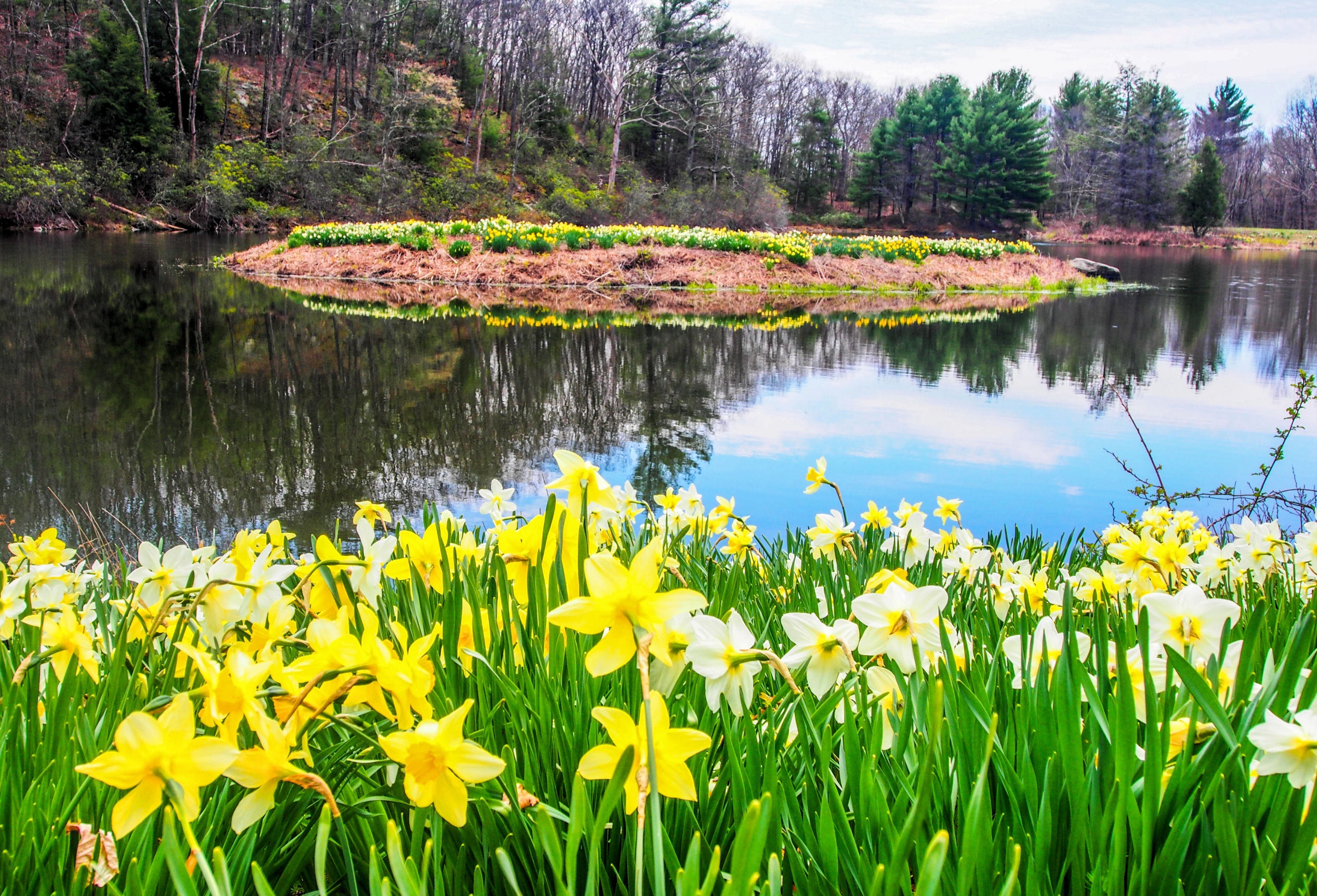 Writing Prompt of the Season